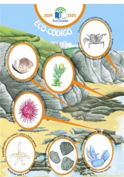 Poster Eco-Código EBSAM'25.jpg